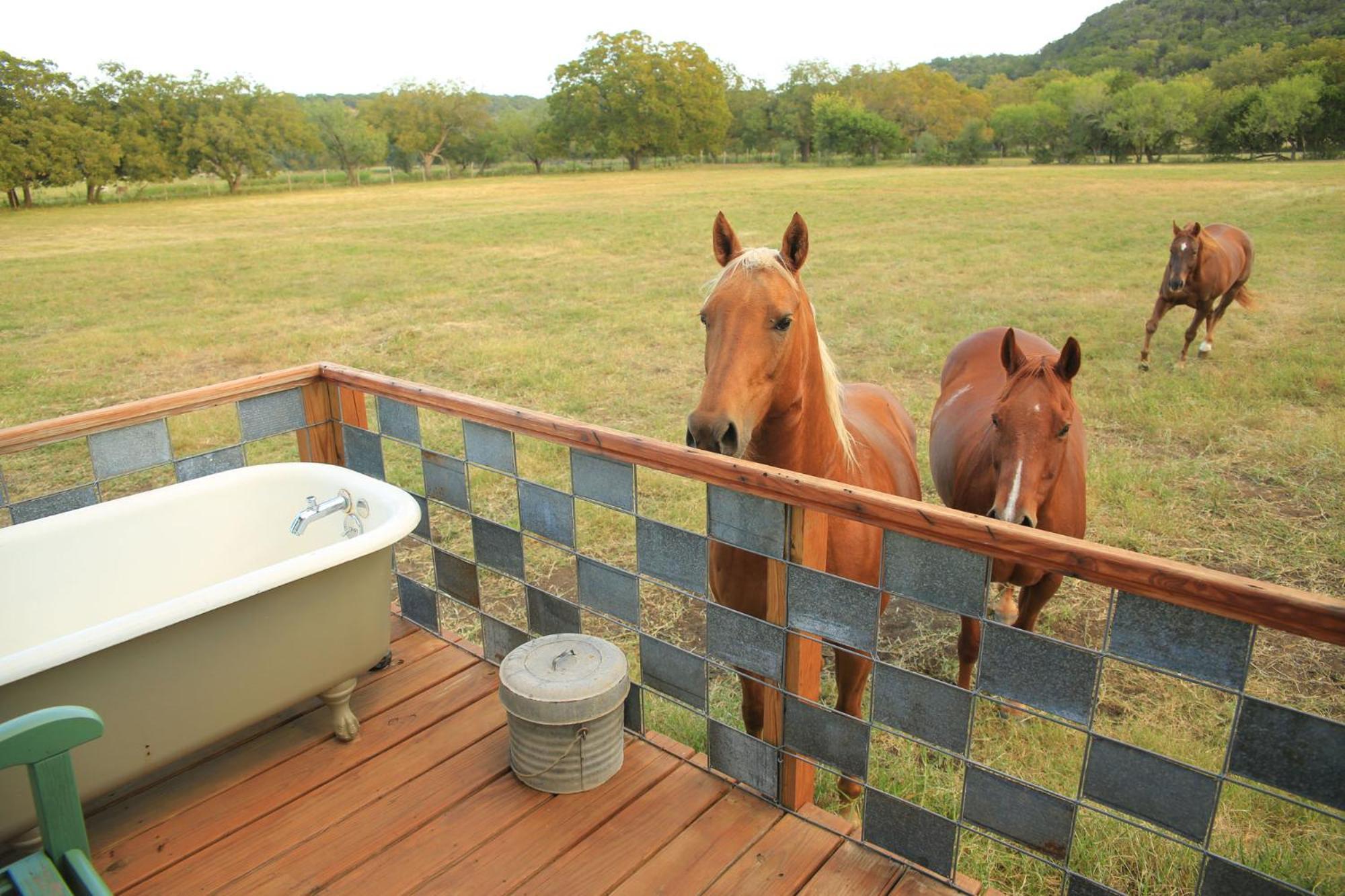 Montesino Ranch Lodging Villa Wimberley Exterior foto